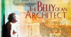 The Belly of an Architect film complet