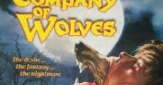 The Company of Wolves film complet