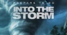Into the Storm film complet