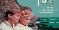 A Summer Place film complet