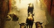 Encierro 3D: Bull Running in Pamplona (2012)