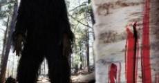 Bigfoot, attaque en forêt streaming