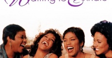 Waiting to Exhale film complet