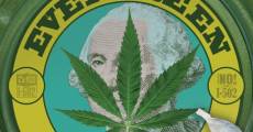 Evergreen: The Road to Legalization in Washington film complet