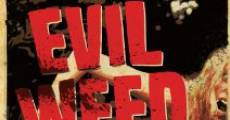Evil Weed film complet