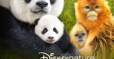Filme completo Expedition China