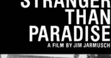 Stranger than Paradise film complet