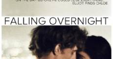 Falling Overnight film complet