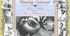 Flaming Creatures film complet