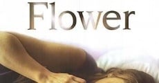 Flower & Garnet film complet