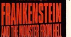 Frankenstein and the Monster from Hell film complet