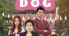 Gae-leul Hoom-chi-neun Wan-byeok-han Bang-beob film complet
