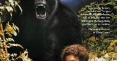Filme completo Nas Montanhas dos Gorilas