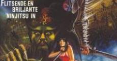 Vampire Raiders: Ninja Queen film complet