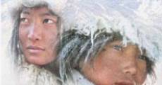 Himalaya - Die Kindheit eines Karawanenführers