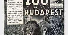 Zoo in Budapest film complet