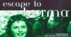 Escape to Burma film complet