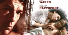 Filme completo Il padre e lo straniero