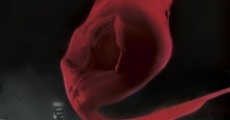 Filme completo In Embryo