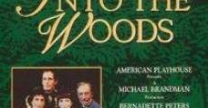 Into the Woods film complet