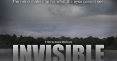 Invisible