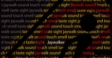 Jaywalker (2014)
