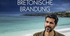 Kommissar Dupin - Bretonische Brandung streaming