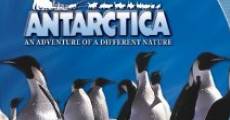 Antartica, prisonniers du froid streaming