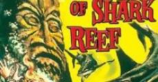 She Gods of Shark Reef film complet