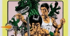 Fury of the Dragon film complet
