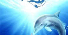 Dolphin Tale film complet