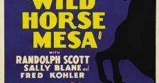 Wild Horse Mesa film complet