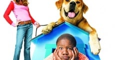 Life Is Ruff film complet