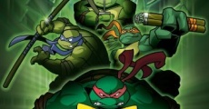 Teenage Mutant Ninja Turtles: Turtles Forever streaming