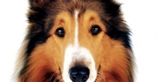 Lassie film complet