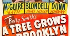 A Tree Grows in Brooklyn film complet