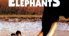 Le maître des éléphants film complet