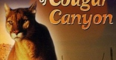 Filme completo Legend of Cougar Canyon