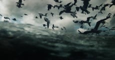 Filme completo Leviathan - O Mistério dos Oceanos