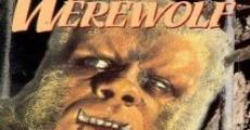 The Curse of the Werewolf film complet