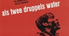 Als twee druppels water (1963)