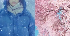 Little Forest: Winter/Spring film complet