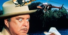 Smokey and the Bandit Part 3 film complet