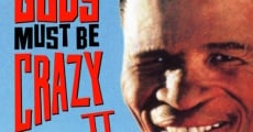 The Gods Must Be Crazy II film complet