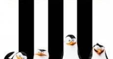 Penguins of Madagascar film complet
