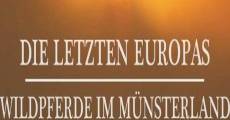 Die letzten Europas Wildpferde im Münsterland (Europe's Last Wild Horses) (2011)