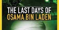 The Last Days of Osama Bin Laden streaming