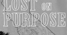Lost on Purpose (2013)