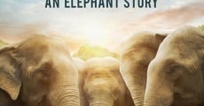 Filme completo Love & Bananas: An Elephant Story