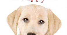 Marley & Me: The Puppy Years film complet